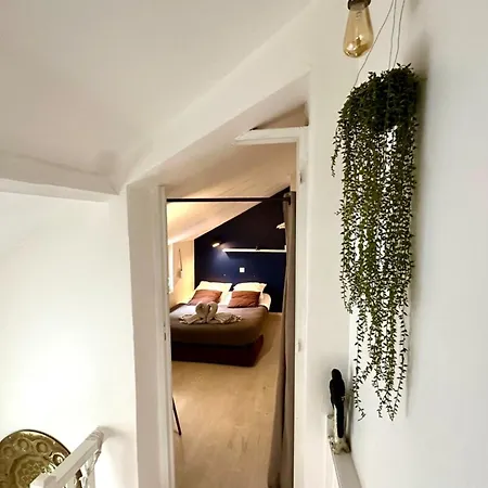 L'abbevilloise Revisitee-wifi-centre Ville-jardin *